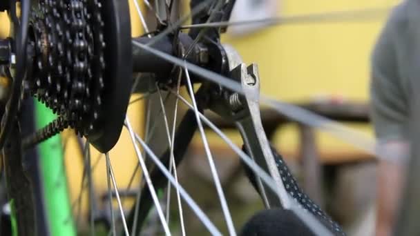 Kolo mechanik opravuje kolo v opravně kol, venkovní. Ruka cyklisty zkoumá, opravuje moderní systém přenosu jízdních kol. Údržba kol, koncept sportovního obchodu. — Stock video