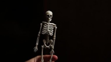 Şeker mi şaka mı konsepti. Cadılar Bayramı partisi için hazırlık. Siyah arka planda geleneksel dekorasyon iskeleti olan korkunç bir kadın elini tutuyor. Sonbahar mutlu Cadılar Bayramı.