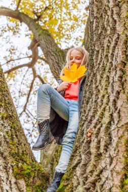 Gülümseyen ve güzel bir sonbahar parkında ağaçta oturan mutlu genç kız doğa yürüyüşleri yapıyor. Sonbaharda oynayan küçük çocuk turuncu arka planda sonbaharda oynuyor. Merhaba sonbahar konsepti