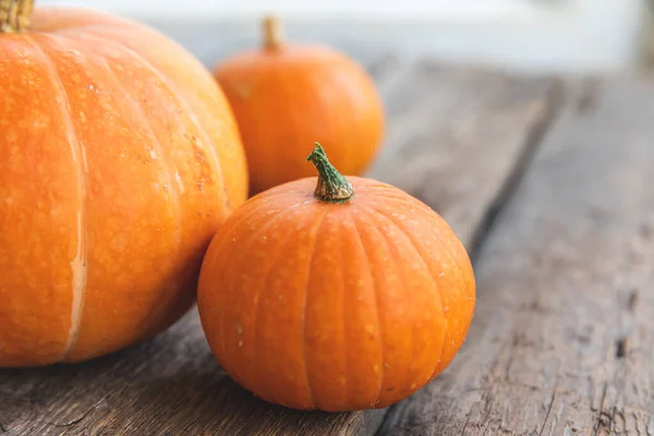 Najaarsachtergrond Natuurlijke Herfst Uitzicht Pompoenen Houten Achtergrond Inspirerende Oktober September — Stockfoto