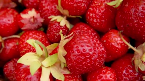 Ώριμα κόκκινα φρούτα φράουλες περιστροφή μακροεντολή ακραία κοντά. Εποχιακό καλοκαιρινό κόκκινο μούρο. Αργή περιστροφή της στοίβας νωπών μούρων. Υγιές βιολογικό επιδόρπιο, vegan έννοια τροφίμων. — Αρχείο Βίντεο