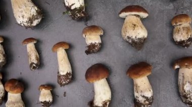 Sonbahar sonbahar kompozisyonu. Yenebilir çiğ mantarlar Penny Bun koyu siyah taştan bir arka planda. Gri masada ağlar. Lezzetli organik mantar gurmesi pişirmek. Düz yatış, üst görünüm