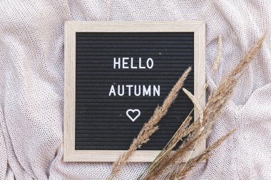 Sonbahar Arkaplanı. İçinde Hello Autumn yazan siyah mektup tahtası ve beyaz örgü süveterin üzerinde duran kurutulmuş bitki. En üstteki düz yerde. Şükran Günü afişi. Hygge soğuk hava konsepti