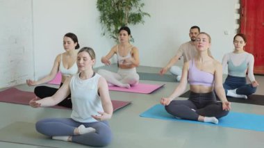 Yoga farkındalığı meditasyonu. Yoga sağlık farkındalığı meditasyonu için stüdyoda egzersiz yapan bir grup sporcu. Nilüfer çiçeğinde oturup yoga yapan erkek kadınlar meditasyon yapıyor.