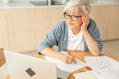 Evde dizüstü bilgisayar kullanarak not yazan orta yaşlı bir kadın. Yetişkin, yaşlı bir iş kadınının internet üzerinden kayıt yapması. Olgun patron profesyonel işçi.