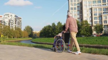 Tekerlekli sandalyede yaşlı bir adamla yürüyen yaşlı bir kadın. Aile erkeği koca dışarıda çalışanlar için tekerlekli sandalyede felçli bir kadınla ilgilenmeyi destekliyor. Rehabilitasyon