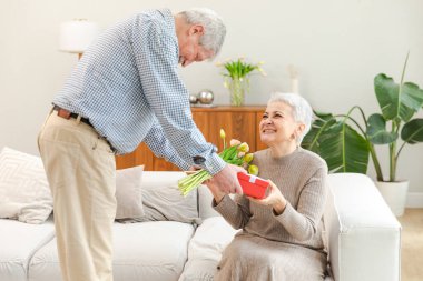 Kıdemli adam yaşlı kadına çiçek kutusu veriyor. Mutlu aile çifti. Lale çiçekleri taşıyan koca eşi, kadınların doğum günü aile düğün gününü sevgililer gününde kutluyor. Aşık insanlar.