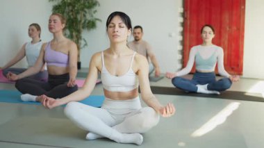 Yoga farkındalığı meditasyonu. Yoga sağlık farkındalığı meditasyonu için stüdyoda egzersiz yapan bir grup sporcu. Nilüfer çiçeğinde oturup yoga yapan erkek kadınlar meditasyon yapıyor.