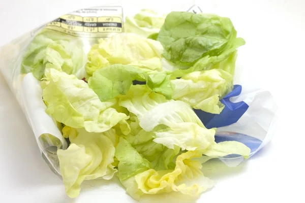 Alface de salada picada — Fotografia de Stock