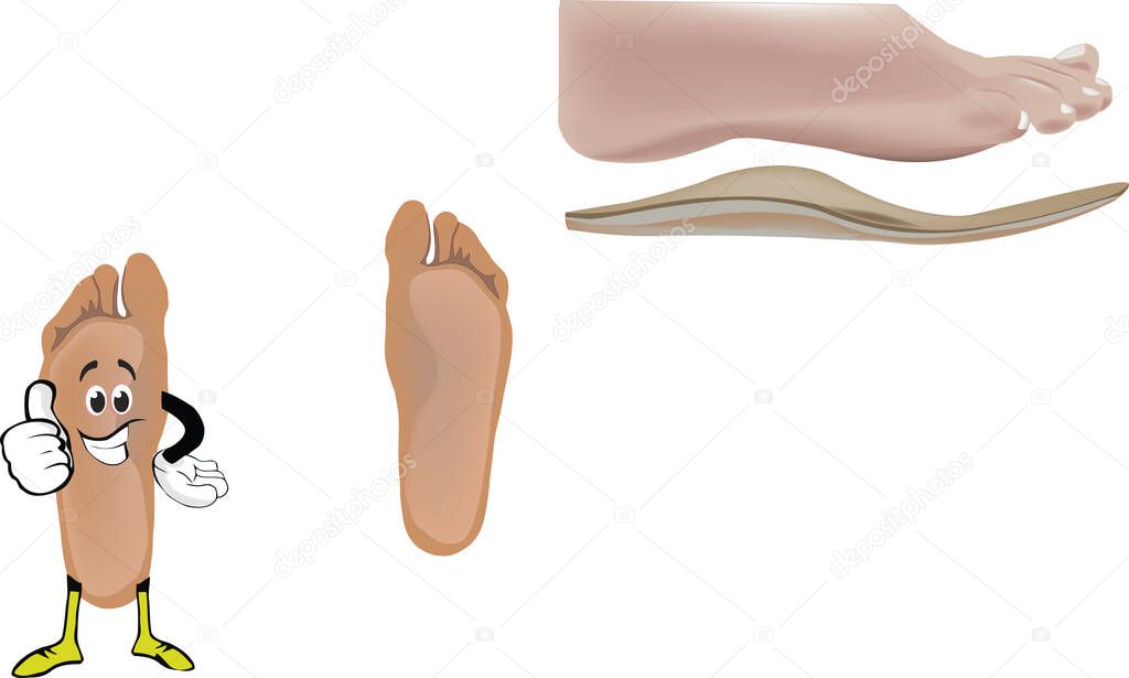 human foot with arch support for walking