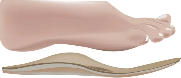 Людська Нога Рослинною Устілкою Ходьби — стоковий вектор