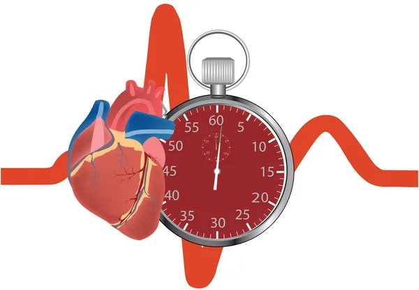 Cronómetro Medición Frecuencia Cardíaca — Vector de stock