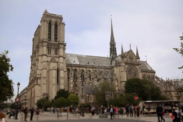 Cathédrale Notre Dame Paris Cathédrale Notre Dame Paris — Photo