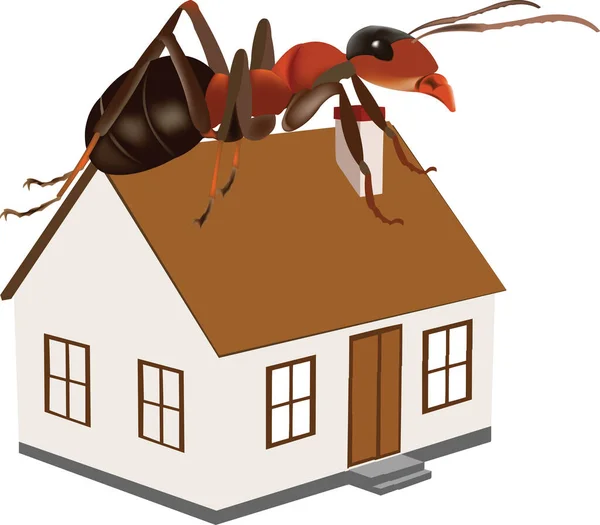 Red Ants House Extermination — Stock Vector