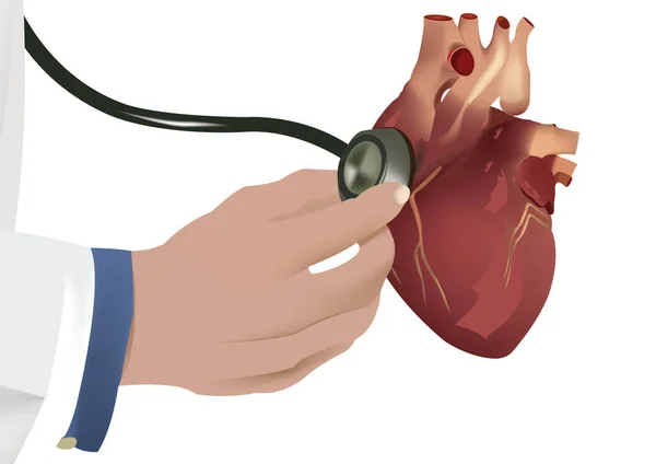 Main Avec Stéthoscope Cardiaque Humain — Image vectorielle