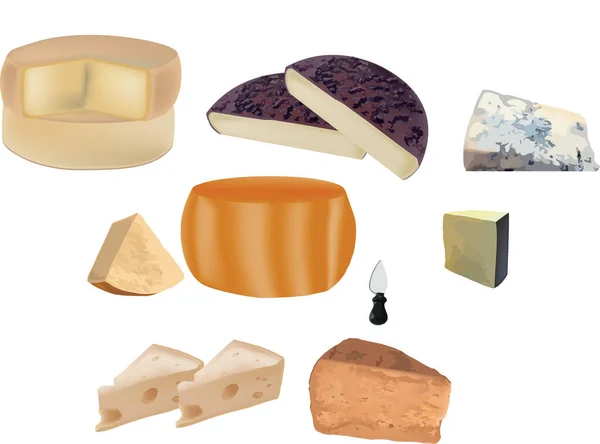 Chargé Avec Différents Types Fromages Pâte Dure Pâte Molle — Image vectorielle