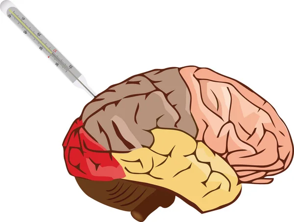 Hersenen met de thermometer hersenen met de thermometer — Stockvector