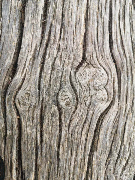 Деревянная Скатерть Высушенная Венами Узлами — стоковое фото