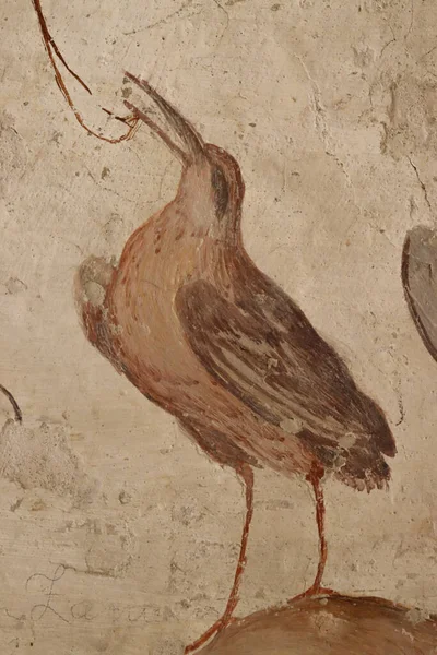 Castillo Medieval Torrechiara Parma Frescos Interiores Dibujos —  Fotos de Stock
