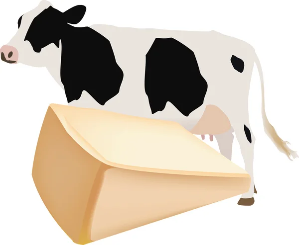 Cheeses and dairy — Stock Vector