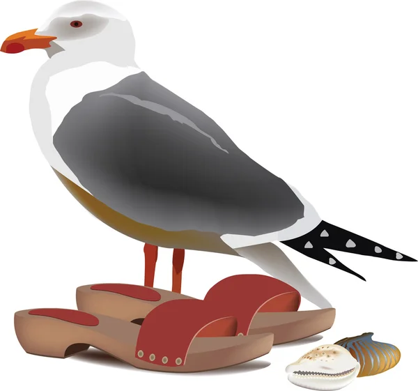 Cascos de gaivota e conchas da praia — Vetor de Stock