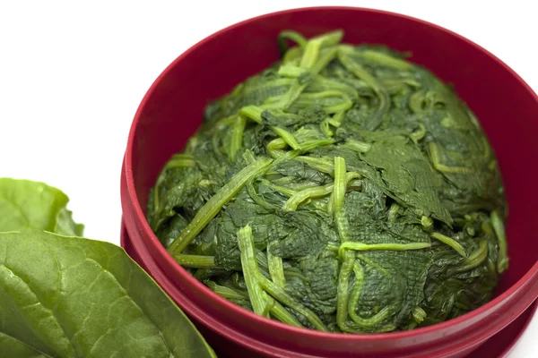 Herbs cooked vegetables — Stock Photo, Image