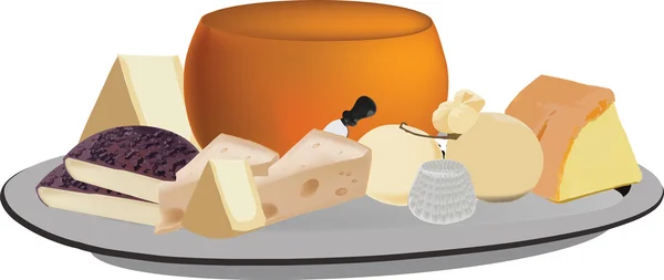 Mixed cheese milk — Stock Vector