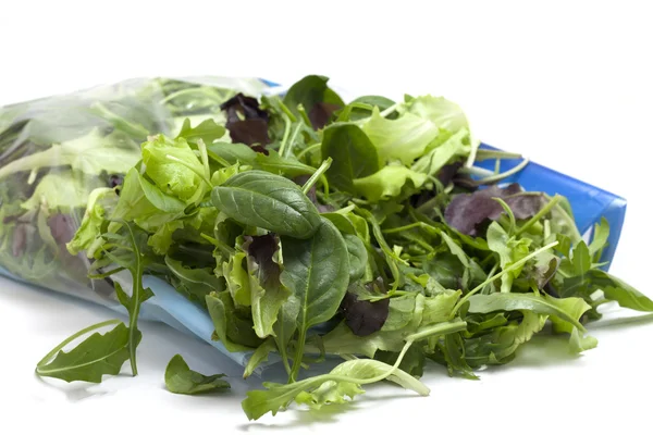 Various seasonal salad packed — Stock Photo, Image