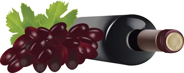Fles wijn en druiven — Stockvector