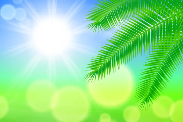 Sunny background with palm leaves — Stock Vector