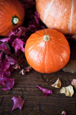 eski ahşap zemin üzerinde kırmızı yaprakları ile kabak