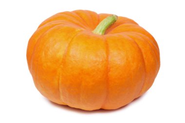 Pumpkin isolated on white clipart