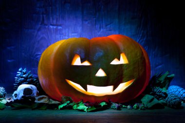 Mavi ahşap arka plan üzerinde korkunç Cadılar Bayramı Balkabağı