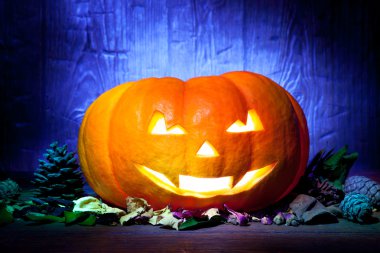 Mavi ahşap arka plan üzerinde korkunç Cadılar Bayramı Balkabağı