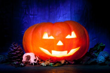 Mavi ahşap arka plan üzerinde korkunç Cadılar Bayramı Balkabağı