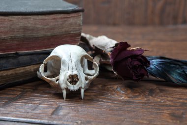 Vintage büyücülük natürmort