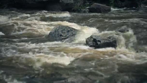 Paysage d'une rivière de montagne dans la forêt au début de l'automne et à la fin de l'été. — Video
