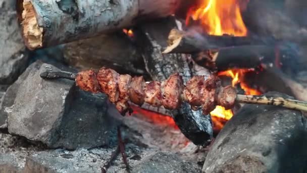 Close-up shot van smakelijke hete shish kebab op houten spiesen bereidt zich op de kolen buiten — Stockvideo