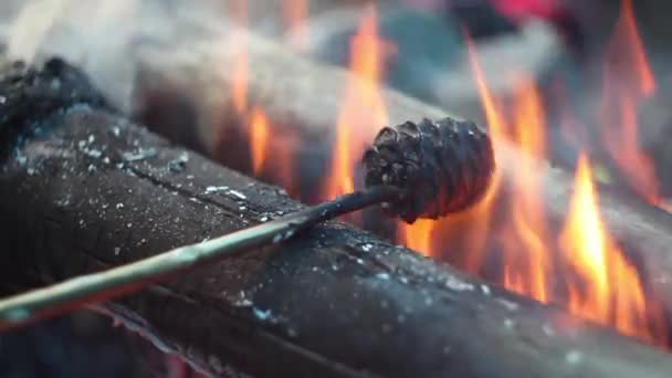 De ceder kegel wordt afgevuurd op de brandstapel om zich te ontdoen van de hars — Stockvideo