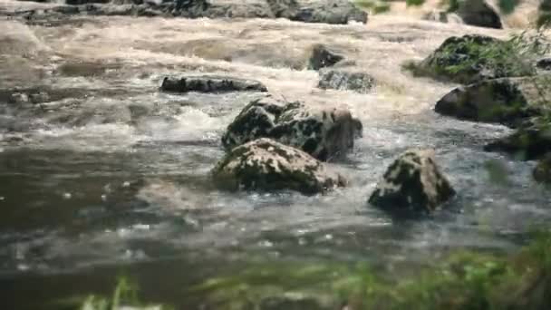 Paysage d'une rivière de montagne dans la forêt au début de l'automne et à la fin de l'été. — Video