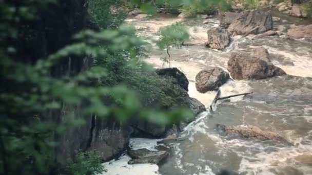 Tájkép a hegyi folyó az erdőben kora ősszel és késő nyáron. — Stock videók