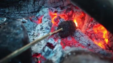 Sedir konisi, reçineden kurtulmak için kazığa ateşlendi.