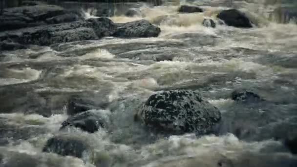Paysage d'une rivière de montagne dans la forêt au début de l'automne et à la fin de l'été. — Video