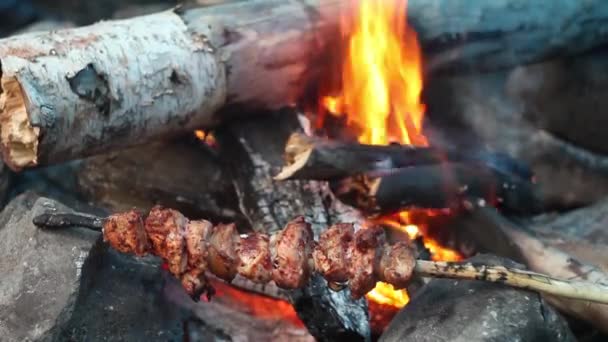 Close up shot di appetitoso shish kebab caldo su spiedini di legno si prepara sui carboni all'aperto — Video Stock