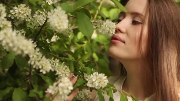 Woman inhales the smell of blooming bird cherry — Stock Video