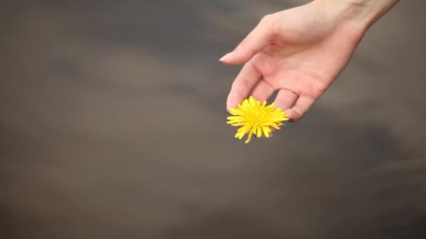 Una donna getta un dente di leone in acqua. Tempo primaverile. — Video Stock