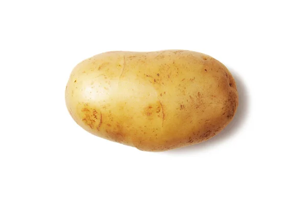 Rauwe Oogst Aardappel Geïsoleerd Witte Achtergrond — Stockfoto