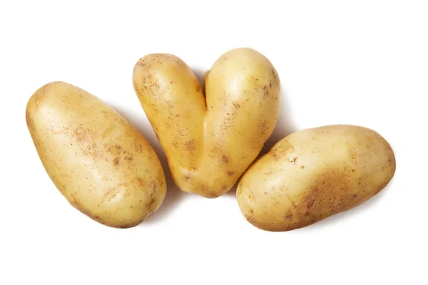 Rauwe Oogst aardappelen geïsoleerd op witte achtergrond — Stockfoto