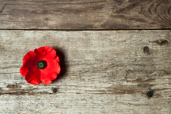 Spilla di papavero per il Giorno della Memoria. Sostenuto su belle venature, legno dettagliato. — Foto Stock