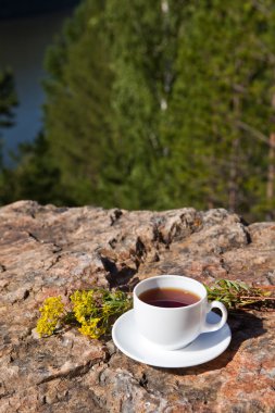 Cup op grote steen over natuur achtergrond